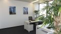 Foto der Immobilie (572703)