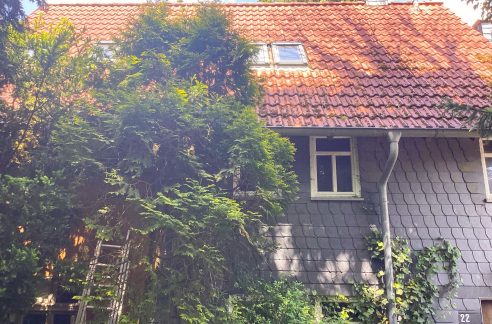 12-bearbeitet