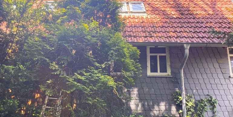 12-bearbeitet