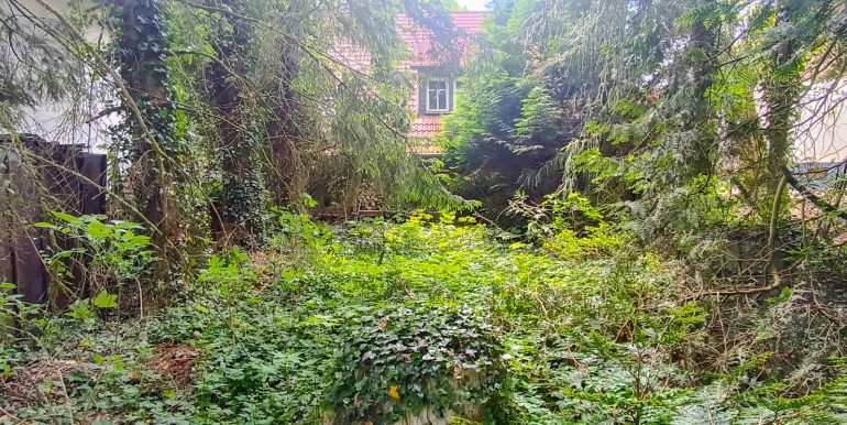 IMG_20250515_131422-bearbeitet