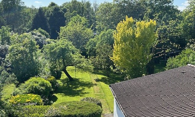 Ausblick von der Dachterrasse