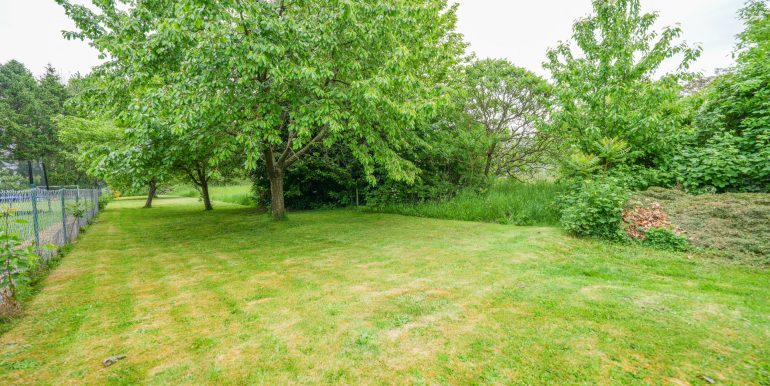 Gartenbereich 2