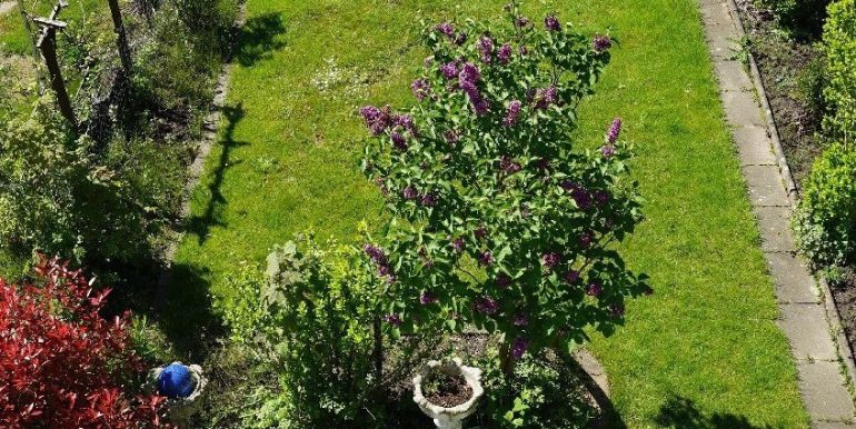 Gartenüberblick