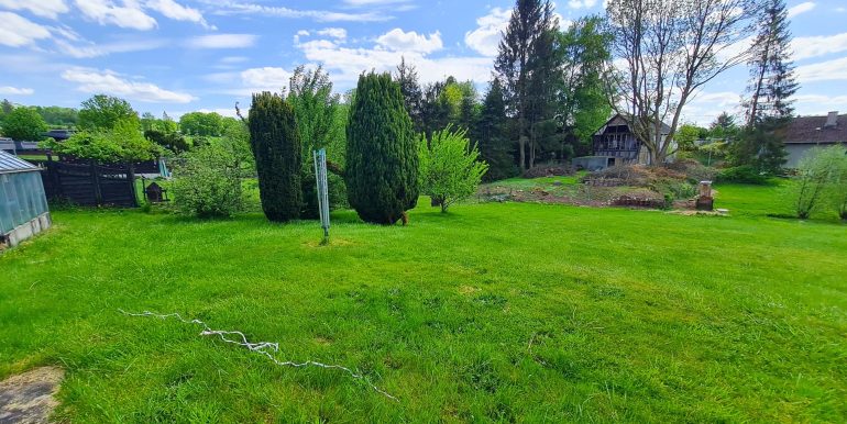 Blick ins Grüne
