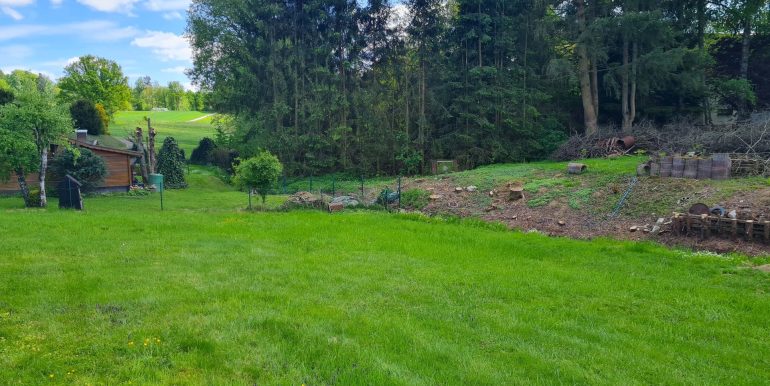 Blick ins Grüne