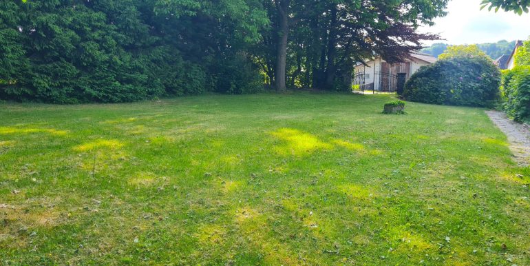 Blick ins Grüne