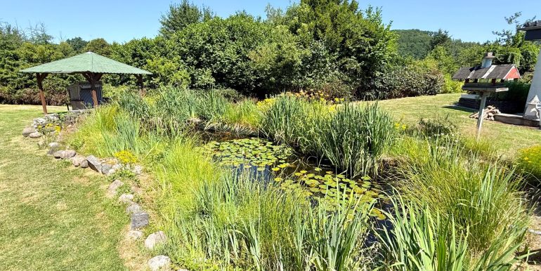 Großer Fischteich