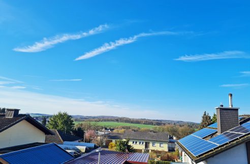 Fernblick