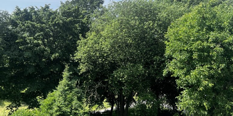 Grünblick