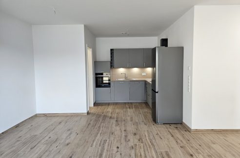 Wohnbereich/Küche