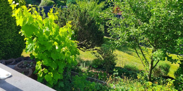 Blick in den Garten