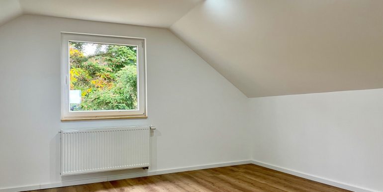 Studio (DG)