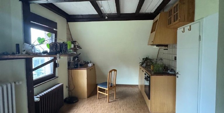 Kleines Gästeapartment mit Wohn/- Küchenbereich und