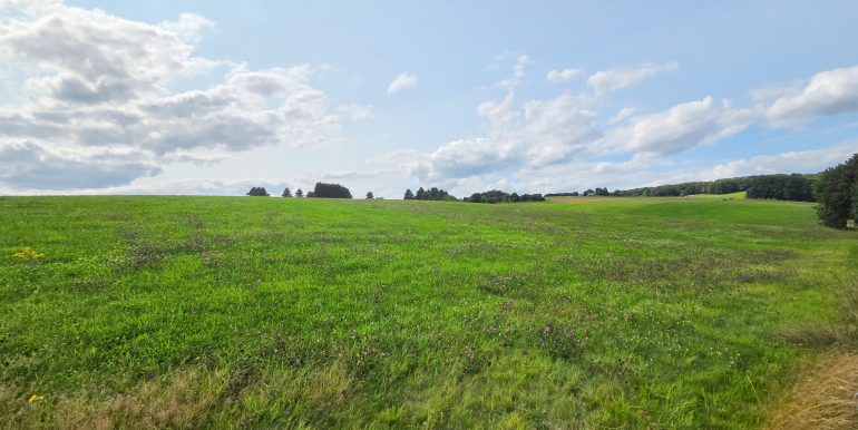 Ausblick in die Umgebung