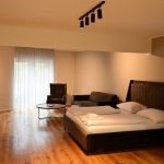 Zimmerblick zum Balkon