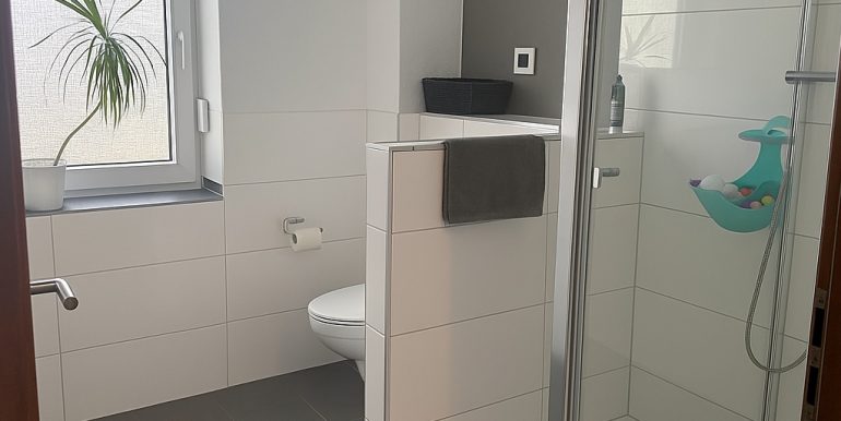 2. Tageslichtbad mit Walk-In-Dusche