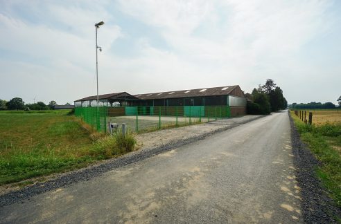 Frontansicht + Freifläche