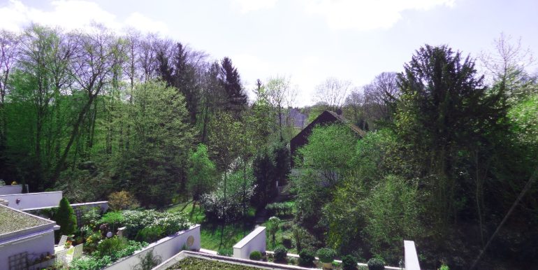 Ihr Blick von der Terrasse ins Grüne