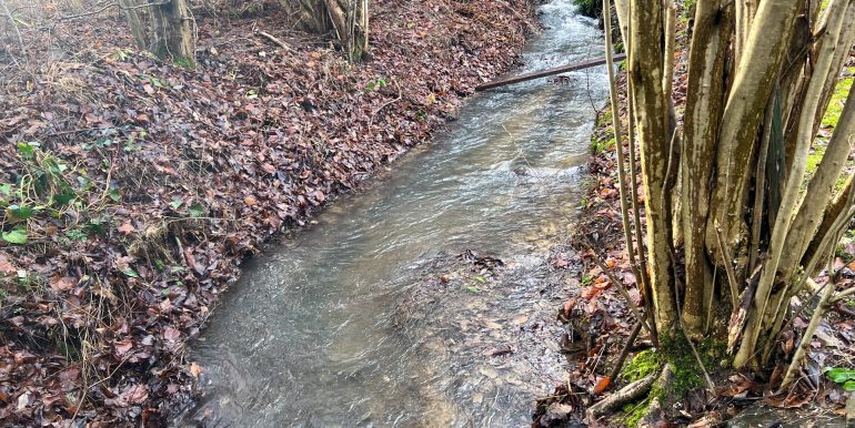 Bachlauf hinterm Haus