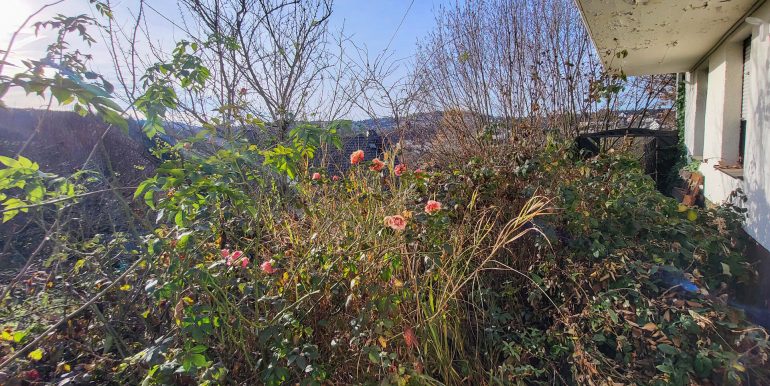 Blick vom Keller zum Garten
