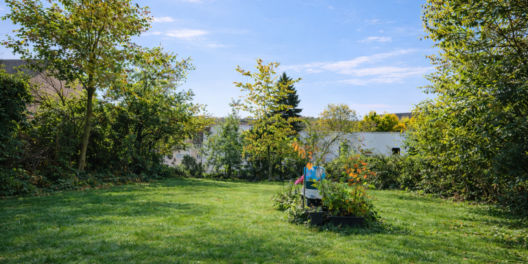 Gemeinschaftlicher Garten