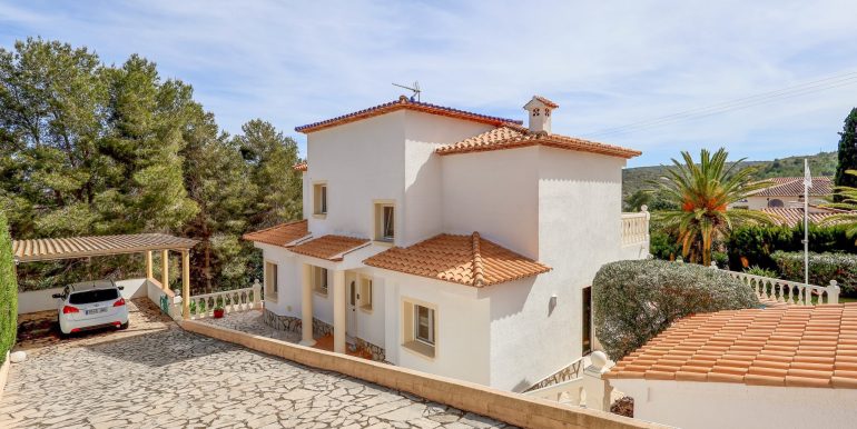 lange Auffahrt mit Carport - Entree