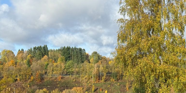 Weitblick