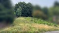 Foto der Immobilie (561121)