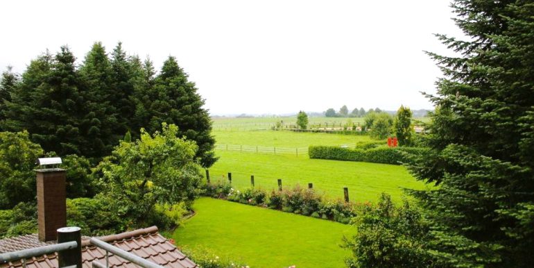 Aussicht vom Balkon