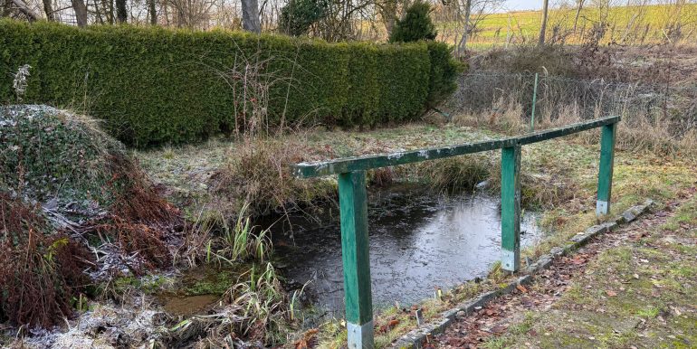 Teich