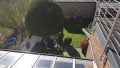 Foto der Immobilie (567444)