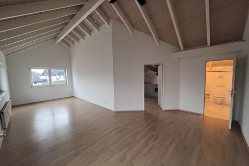 Wohn-/ Esszimmer