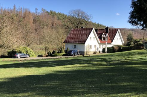 Ansicht vom Garten
