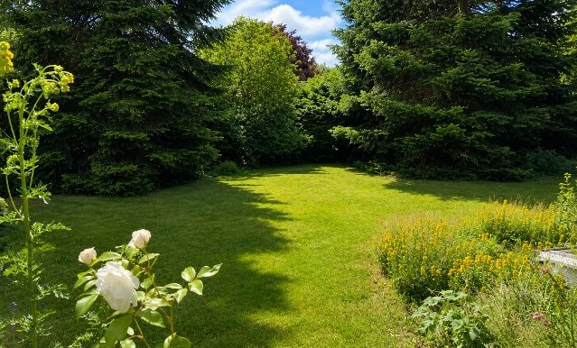Gartenbereich