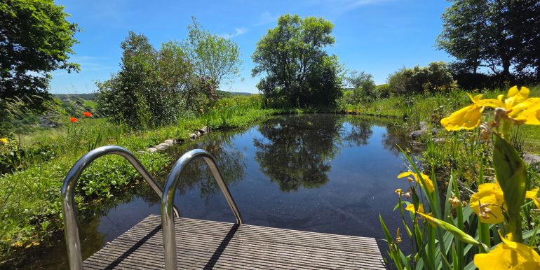 Teich