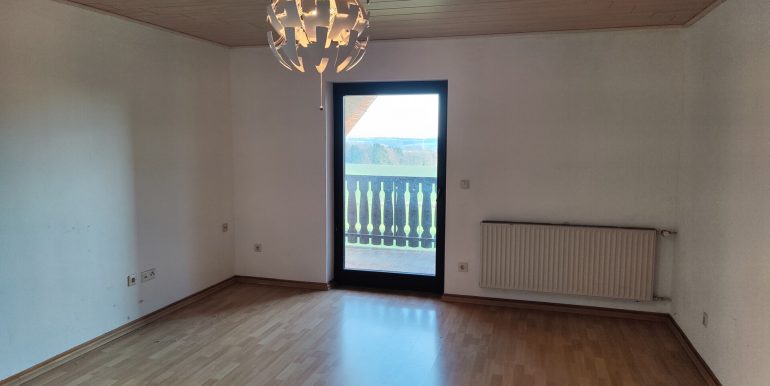 Zimmer DG
