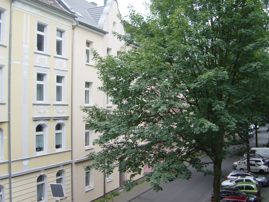 Foto der Immobilie (572754)