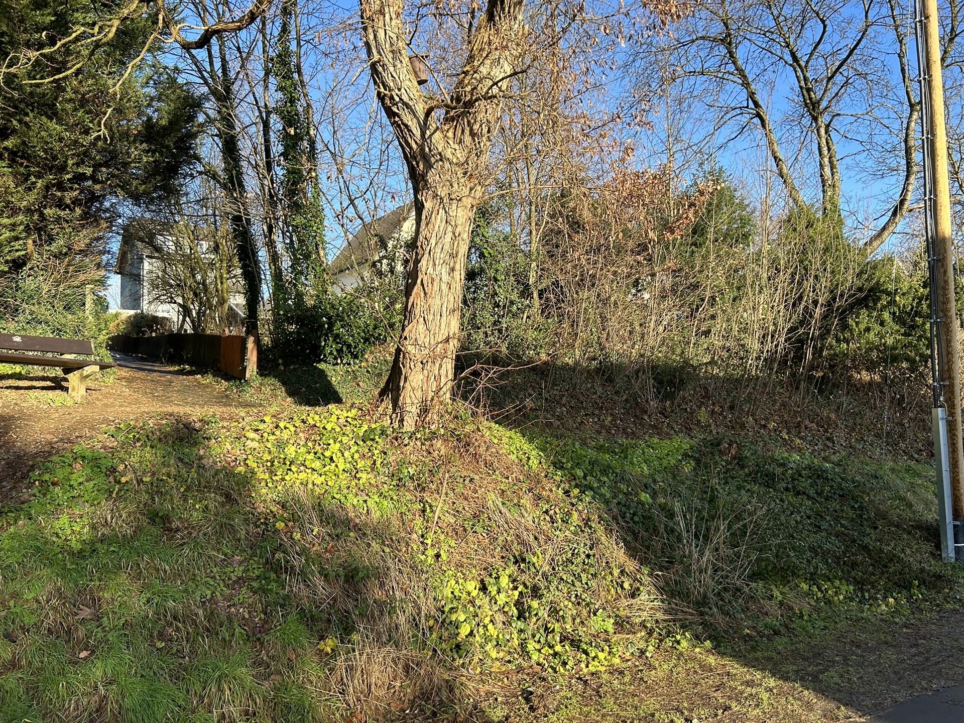 Foto der Immobilie (560241)