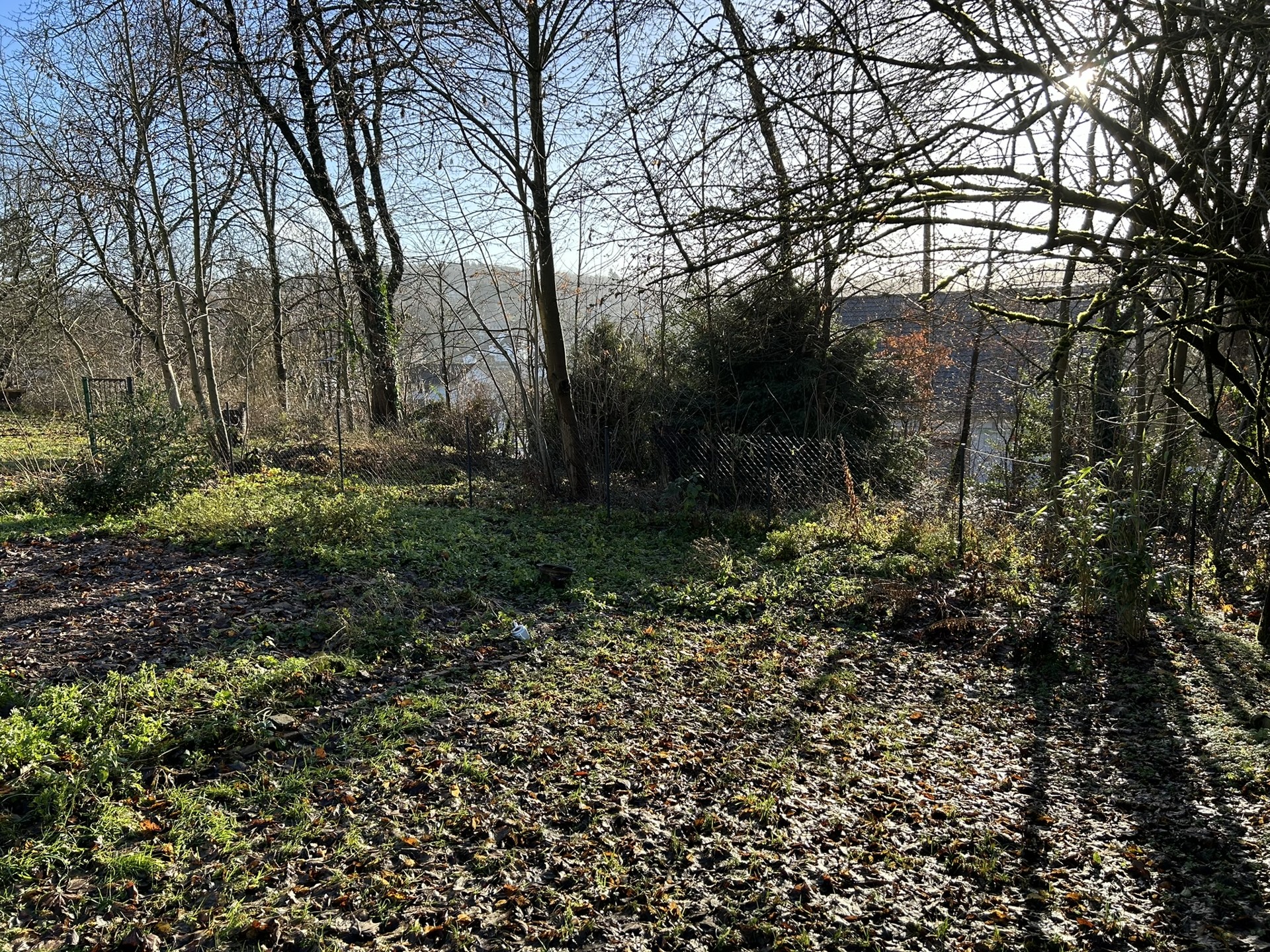 Foto der Immobilie (560243)