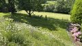 Gartenansicht