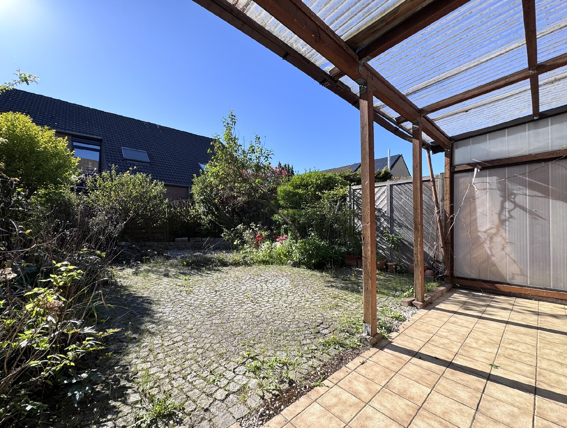 Blick in den sonnigen Garten