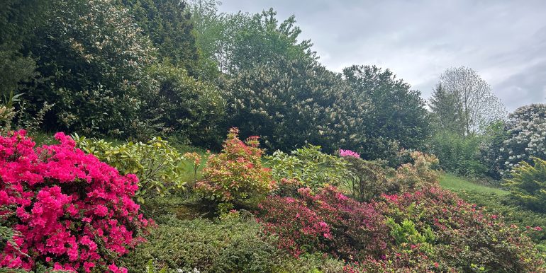 Garten Teilansicht