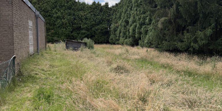 Wiesenfläche hinter dem Haus