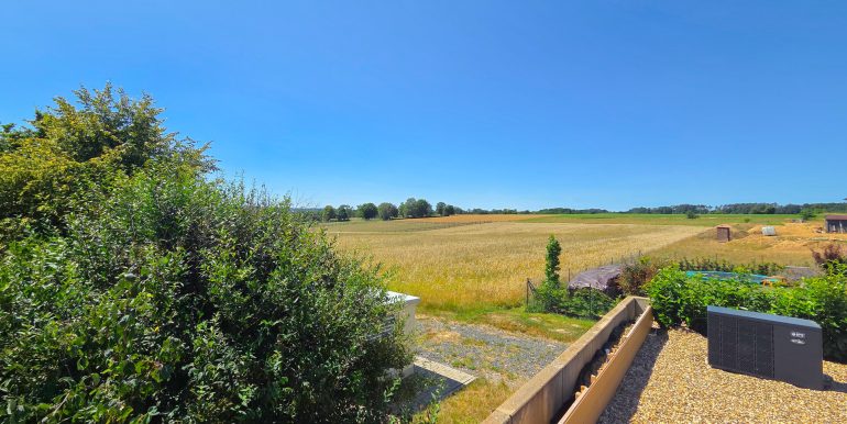 Ausblick