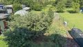 Blick aufs Grundstück