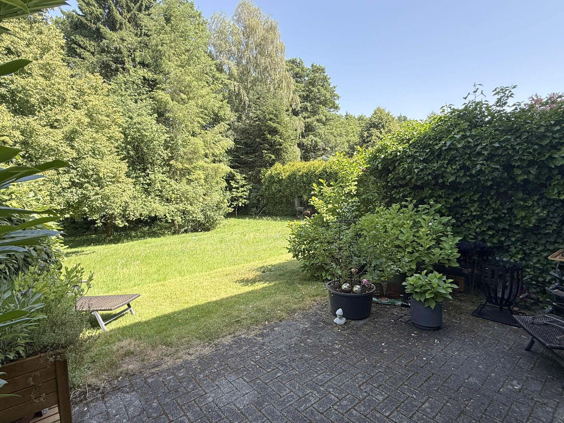 EG Blick von der Terrasse