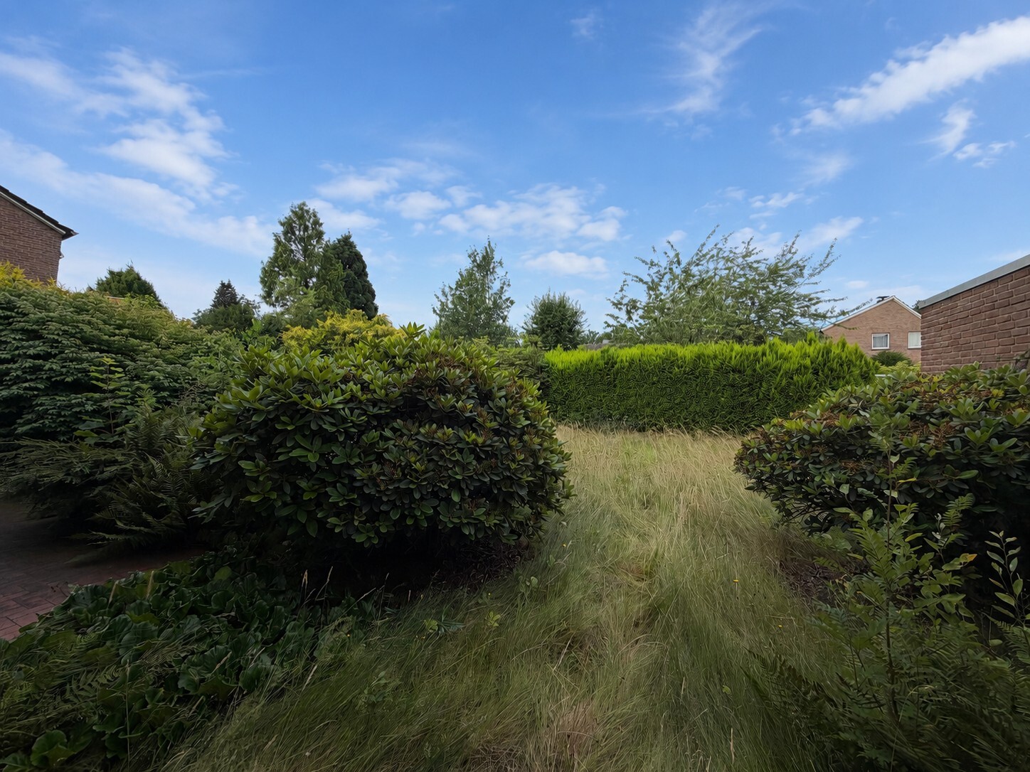 Gartenblick