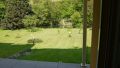Teilansicht Garten
