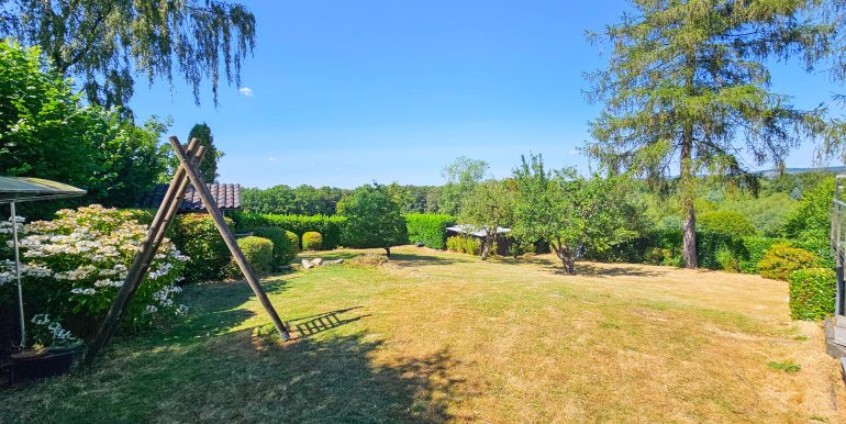 Blick in den Garten