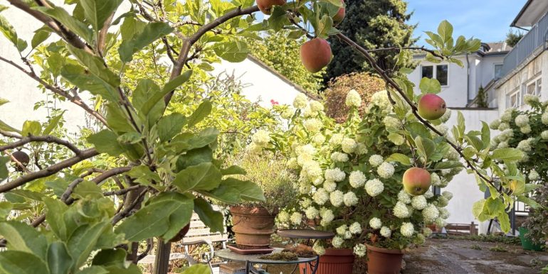 Gemeinschaftsgarten